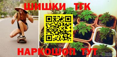 молекула духа Будённовск