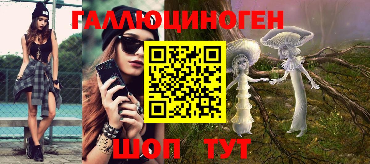 Галлюциногенные грибы Psilocybe Юрга