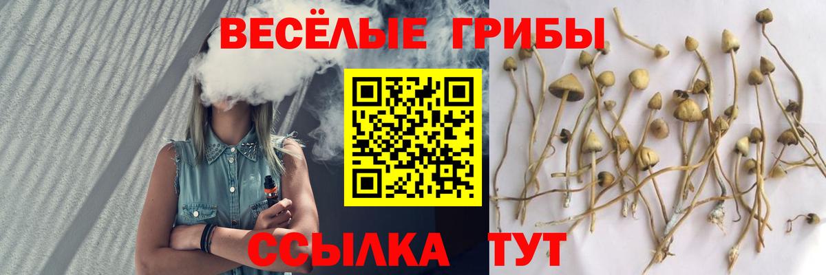 Псилоцибиновые грибы Cubensis  Вход с VPN  Галлюциногенные грибы MAGIC MUSHROOMS  Юрга 